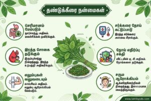 Thandu Keerai Benefits In Tamil